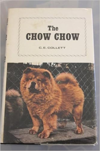 chow chow amazon