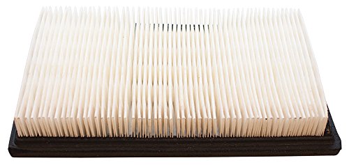 Stens 102-705 E-Z-GO 26855G01 Air Filter