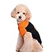 BOBIBI Pet Holiday Halloween Pumpkin Pet Clothes Dog Sweater