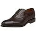 Allen Edmonds Men's Park Avenue Lace-Up,Dark Brown Burnished,8 D US