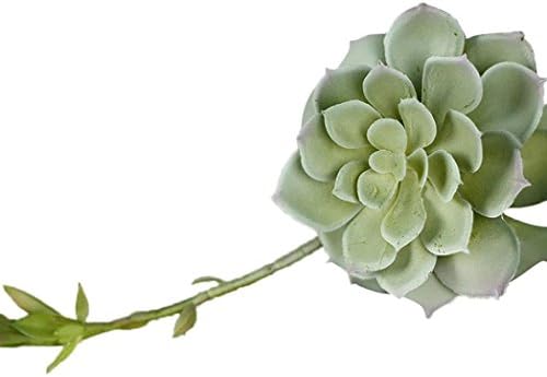 Xiting Artifical Plastic Succulent Plant Cactus Echeveria Flower Home Office Decor Gift (B)