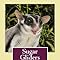Sugar Gliders: The Complete Sugar Glider Care Guide: Duncan, Sandy
