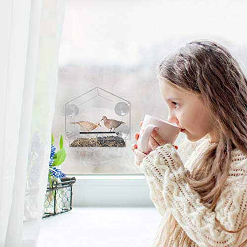 5 Gray+Bunny+GB+6902+Birdfeeder+Transparent