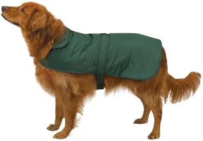 dog barn coat