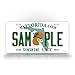 Plate Any Text Customized Personalized Auto Tag Sign 6x12 Sunshine State
