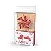 Genuine Fred PUMPED UP Pushpins, 20 Count, Piece - 5217612