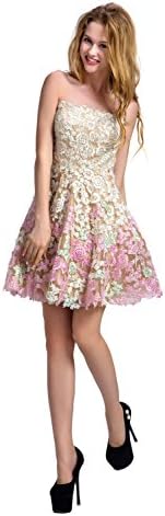 Chic Belle Women Pink Flowers Lace Strapless Short Prom Gowns Homecoming Dresses 2016 (10)