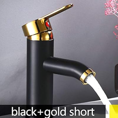 Ffwy Stainless Steel Paint Faucet Bathroom Basin Faucet Blacked