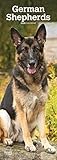 German Shepherds 2020 6.75 x 16.5 Inch Monthly Slimline Wall Calendar, Dog Canine Police by