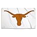 BSI PRODUCTS, INC. - Texas Longhorns 3’x5’ Flag with Heavy-Duty Brass Grommets - UT Football, Basketball & Baseball Pride - High Durability - Designed for Indoor or Outdoor Use - Great Gift Idea