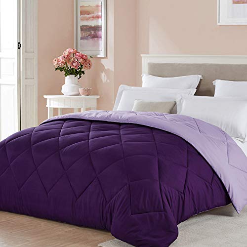 Seward-Park-Solid-Color-Reversible-Comforter-Hypoallergenic-Plush-Microfiber-Fill-Duvet-Insert-or-Stand-Alone-Spring-or-Summer-Comforter-All-Season-Blanket-Lightweight-FullQueen-PlumPurple