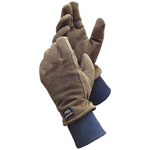 Wells Lamont 2-Pack Cold Weather Suede Leather Gloves with 3M Thinsulate, LARGE