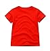 BIBNice Kids 2 Piece Cotton Short Sleeve Shirt and Shorts,Red-fish,2T