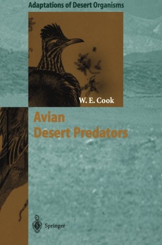 Avian Desert Predators (Adaptations of Desert Organisms)
