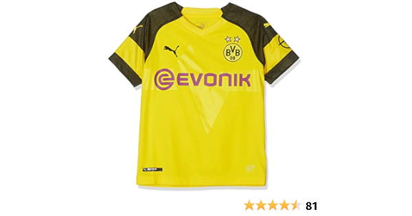 Download Borussia Dortmund Home Kit 201819 Pics
