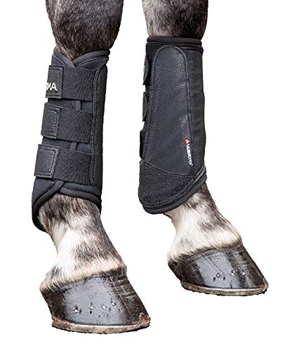 shires brushing boots