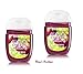 Bath and Body Works Black Cherry Merlot Set of 2 PocketBac Anti-Bacterial Hand Gels