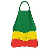Dafin Swim Fin