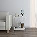 Lifewit Small 2-Tier Side Table End Table Beside Sofa, Sturdy and Easy Assembly Accent Table for Bedroom, Living Room, Modern Design, Square, White, 15.7 × 15.7 × 20 inches