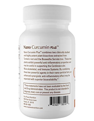 Nano Curcumin Plus - Powerful Anti-inflammatory, Antioxidant, Joint Pain Reliever (60 Capsules)
