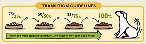 Lily's Kitchen Breakfast Crunch for Dogs 800g - Thumbnail 7