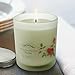 6 Pack Scented Candle Gift Set, Aromatherapy Candles with Essential Oil, 100% Pure Soy Wax Candle Gift Set （6x3.5oz）…