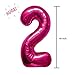 Farm Animal Balloon for 2nd Birthday Party Decorations, Cow And Pig Baby Girl Party Supply 12 ct Pink Balloons, Cow Print And White Balloons, Number 