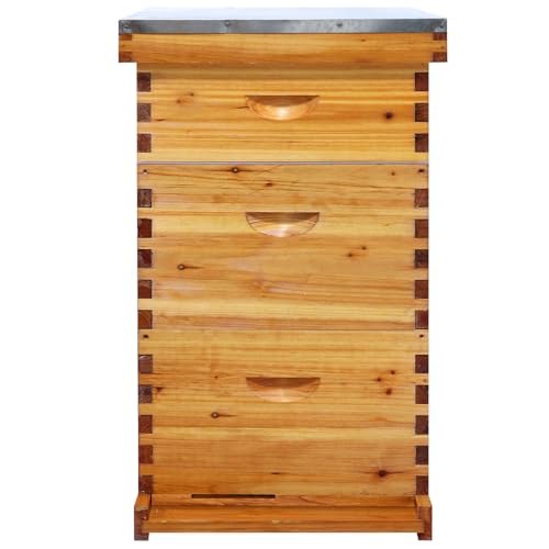 NUOMIC Langstroth 10-Frame Beehive