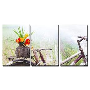 Old Bicycle and Flowers in Field x3 Panels