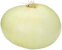 Sweet Yellow Onion, One Large