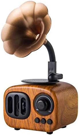 Portable Bluetooth Speaker, Retro Wireless Speaker Wood Style Stereo Speaker with HD Audio and Enhanced Bass, Built-in Rechargeable Battery, BT5.0, Handsfree Calling, TF Card Slot for Home Office