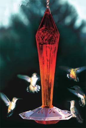Amazon Com Schrodt Hummingbird Feeder Color Ruby Glass