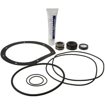 Amazon.com: Hayward SPXHKIT12MTX Quick Pump Repair H-KIT