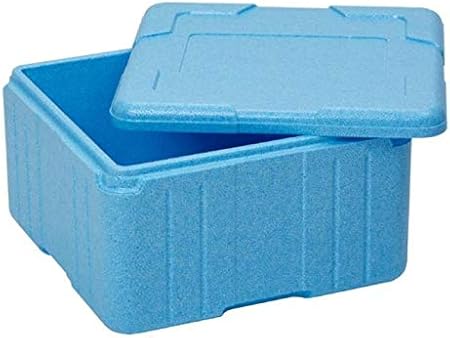 EPS - Caja térmica de poliestireno con Tapa, 21 litros: Amazon.es: Hogar