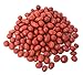 CrazyOutlet Boston Baked Beans Candy Coated Peanuts, Fresh Bulk Pack, 2 Lbs