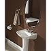 Dreamslink Spot Resist Wall Mounted Toilet Paper Holder Brush Nickel