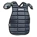 Champro Umpire's Inside Protector (Black, 16.5 x 23.5)
