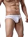 Ekouaer Men Briefs Underwear Ice Silk Wide Waistband Triangle Bikini Briefs 3 Pack
