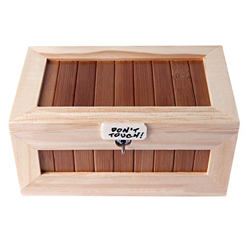 XINHOME Don't Touch Useless Box with Attitude Leave Me Alone Surprises Machine-Gags & Practical Joke Decorative & Endless Fun- Cute Tiger