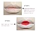 Qpower Retractable Lip Brush with Cap Portable Lipsticks Cosmetic Brush (1pc)