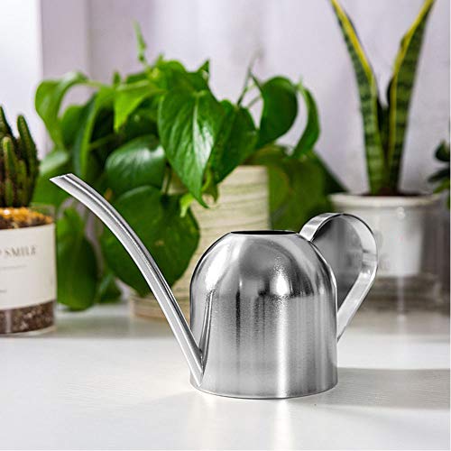Watering Can Indoor Plants,1500ml/50oz Silver Long Spout Stainless Steel Decorative Sturdy Metal