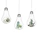 Mkono 3 Pack Light Bulb Terrariums with Strings Hanging Glass Vase Indoor Air Plant Holder Home Decor for Airplants, Succulent, or Small Plants