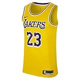 NIKE Men's Los Angeles Lakers Lebron James 2018-19