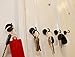 NEO Magnetics Neodymium Magnetic Hooks Black, N50 Pack of 5, 1