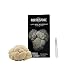 North Spore Grow Your Own Lion's Mane | Grow Mushrooms Indoors at Home | Vigorous and Productive Commercial Strain | Box with Sawdust Block Completely Colonized by Mushroom Mycelium