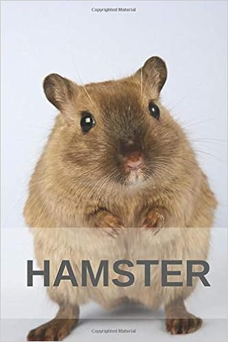 hamster adults