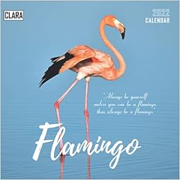 Flamingo 2022 Calendar: Special Gifts For All Ages And Genders With 18-Month Mini Calendar 2022: Amazon.co.uk: Rowan, Mabel: 9798745124464: Books