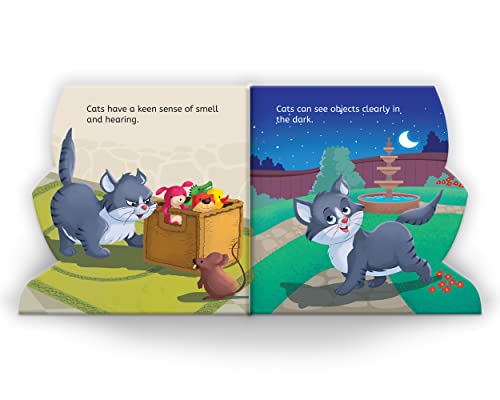 My First Shaped Board Book - Illustrated Cat - Animal Picture Book For Kids Age 2+ Board Book 4