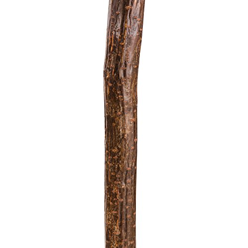 Brazos Free Form Knob Root Cane Walking Stick, 37 Inch, Made in the USA