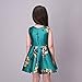 Kidscool Little Girls Sleeveless Yellow Rose Print Green Princess Dress